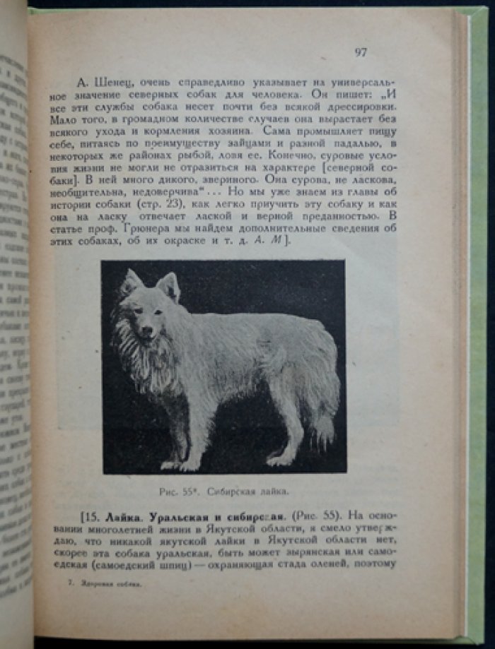 Здоровая собака: кинология, породы, кормление, разведение и уход (с иллюстрациями)