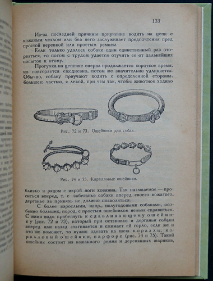 Здоровая собака: кинология, породы, кормление, разведение и уход (с иллюстрациями)
