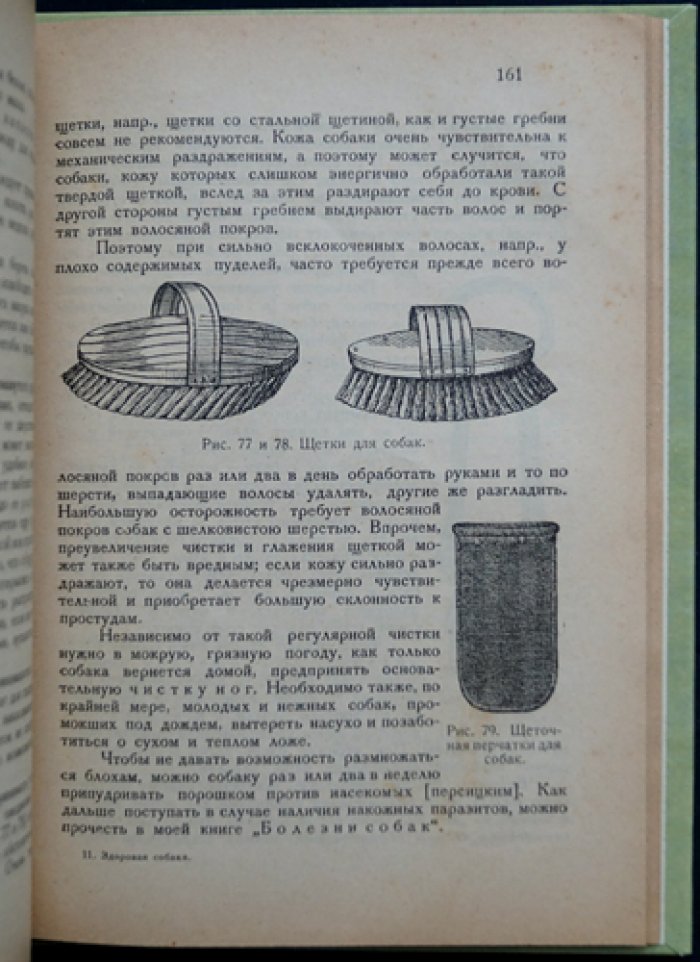 Здоровая собака: кинология, породы, кормление, разведение и уход (с иллюстрациями)