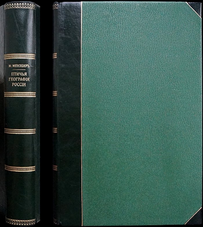 Мензбир. Орнитологическая география Европейской России. Часть I (1882)
