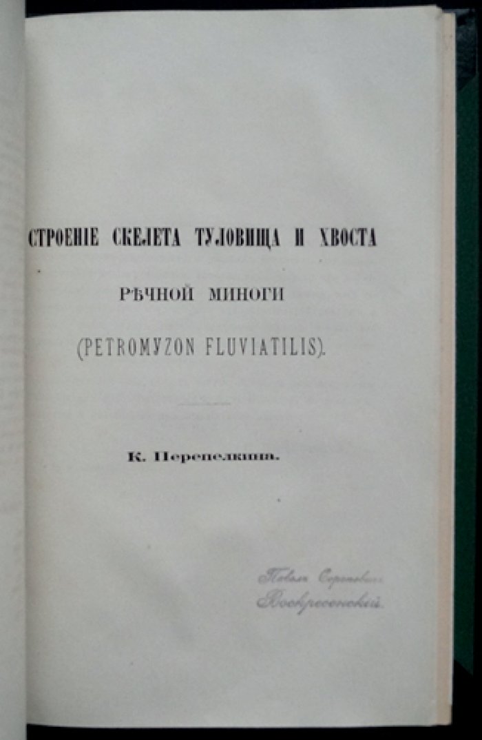 Мензбир. Орнитологическая география Европейской России. Часть I (1882)
