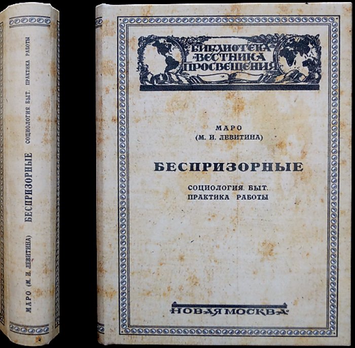 Беспризорные: социология и практика воспитательной работы (с предисловием А. Б. Залкинда)