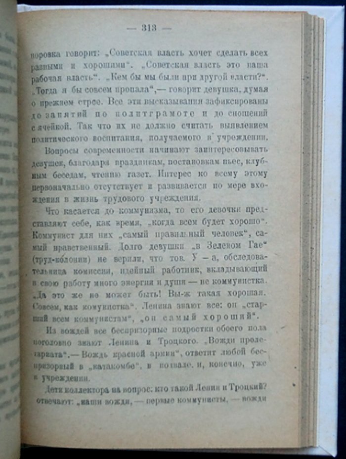 Беспризорные: социология и практика воспитательной работы (с предисловием А. Б. Залкинда)