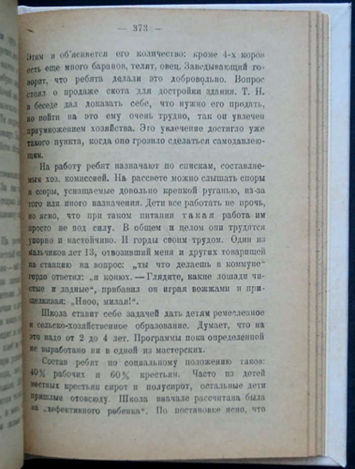 Беспризорные: социология и практика воспитательной работы (с предисловием А. Б. Залкинда)