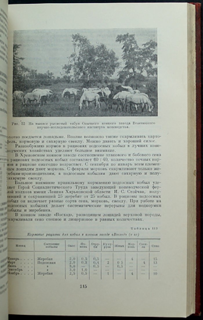 Буденный С.М. Книга о лошади. Том I–II: Экстерьер и породы; Корма и кормление