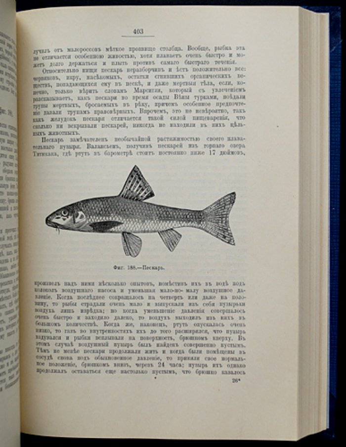 Аквариум любителя. Подробное описание водяных животных и растений, устройства аквариума и ухода