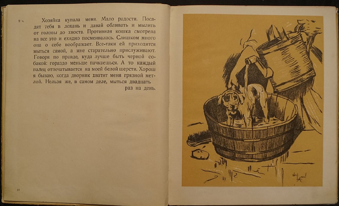 День Эмануэля В. Бобкина (иллюстрированная книга Сесиля Олдина)