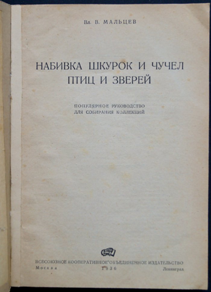 Набивка шкурок и чучел птиц и зверей: практическое руководство по музейному коллекционированию и выделке