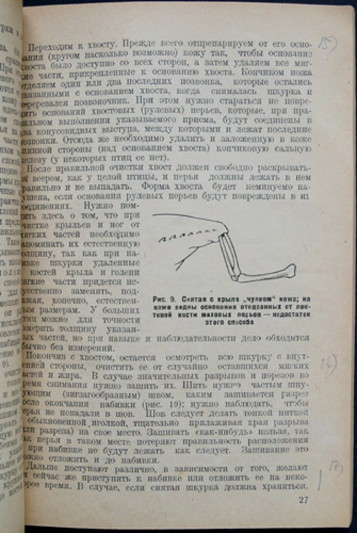 Набивка шкурок и чучел птиц и зверей: практическое руководство по музейному коллекционированию и выделке