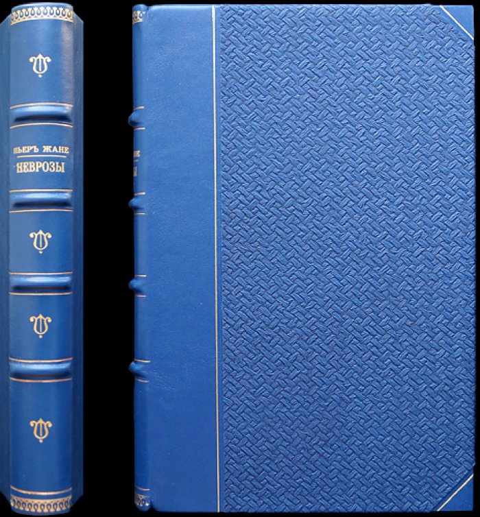 Неврозы. Психологическая концепция и клиническое понимание расстройств