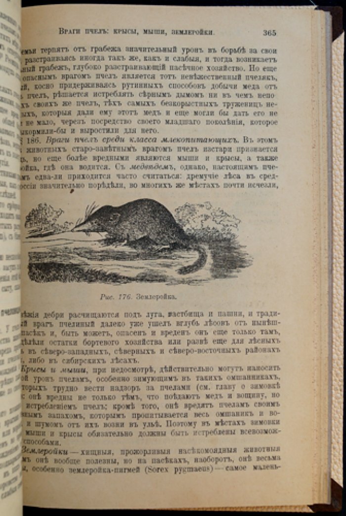 Пчела и пчеловодство: полный практический курс для начинающих