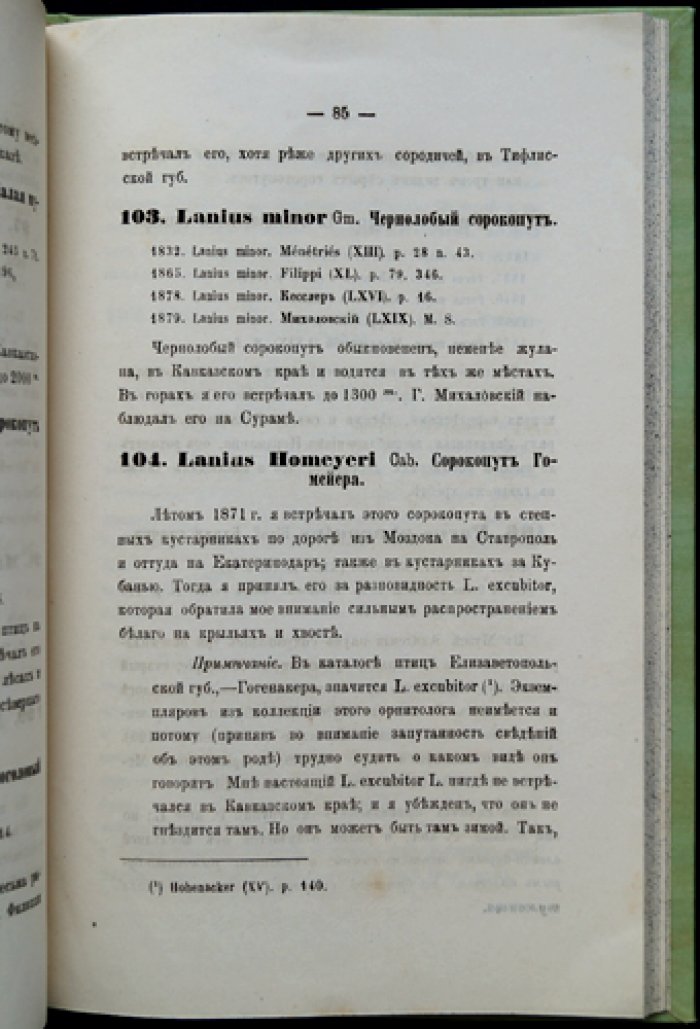 Птицы Кавказа (труды Общества естествознания при Имп. Казанском университете). Том VIII, выпуск 4