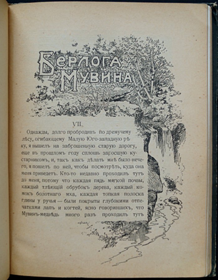 Лонг. Младший братец медведя: рассказы из жизни животных