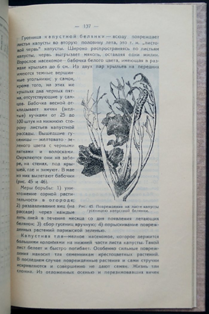 Вологодский край. Естественные производительные силы (часть 1, выпуск единственный)
