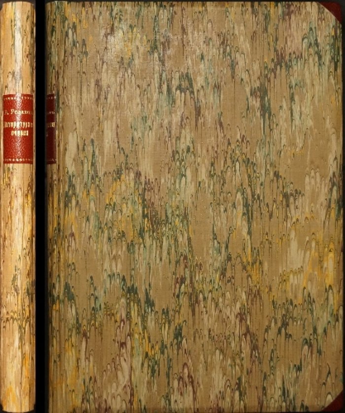 Литературные очерки Василия Розанова. Сборник статей (2-е издание, 1902)