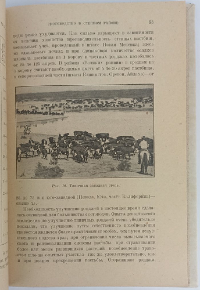 Мясное скотоводство в Северо-Американских Соединенных Штатах (2-е изд., дополненное)