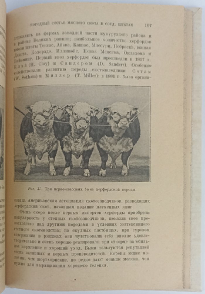Мясное скотоводство в Северо-Американских Соединенных Штатах (2-е изд., дополненное)