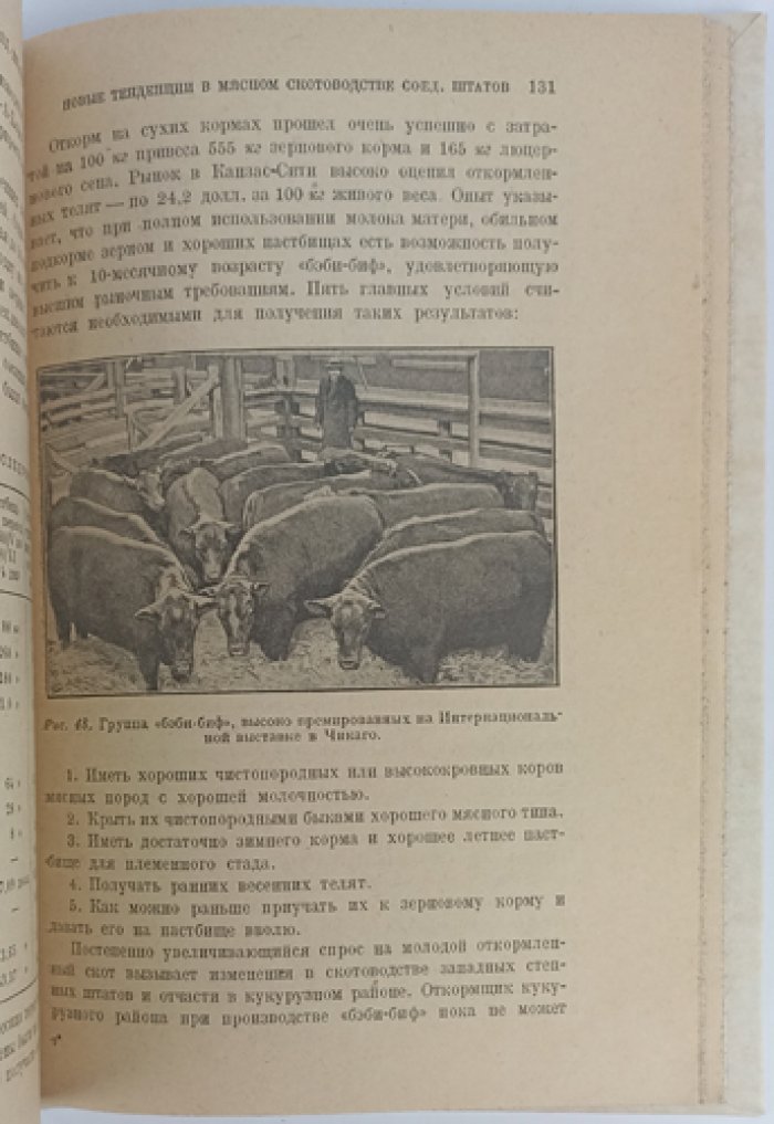 Мясное скотоводство в Северо-Американских Соединенных Штатах (2-е изд., дополненное)