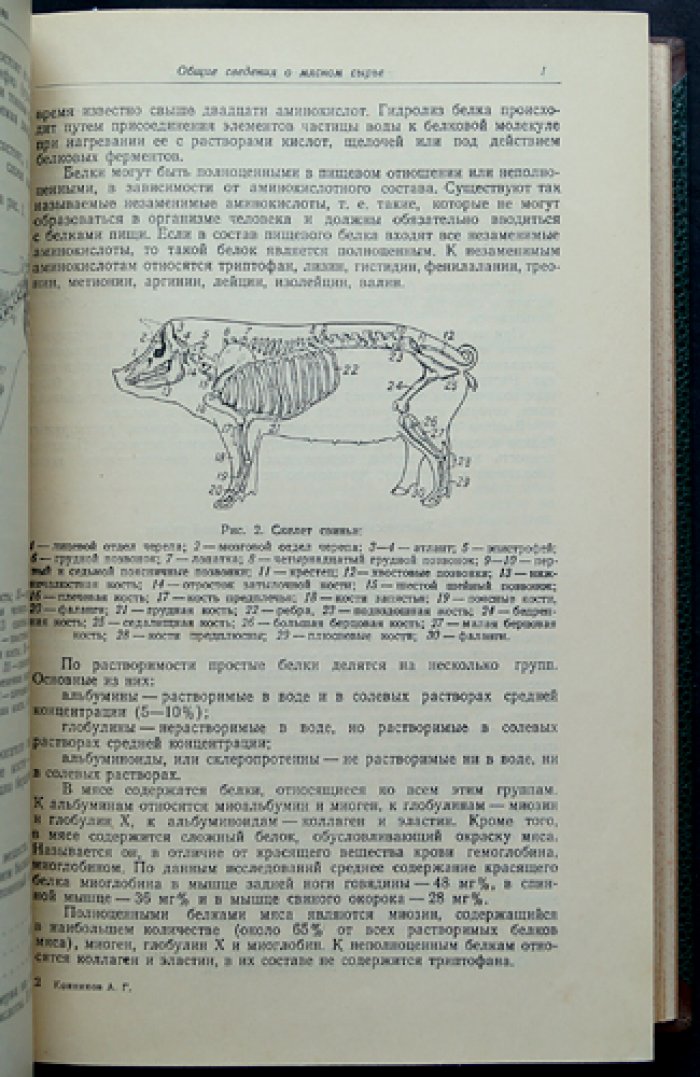 Технология колбасного производства. Сырьё, технологические процессы, частные технологии и химико‑технологический контроль