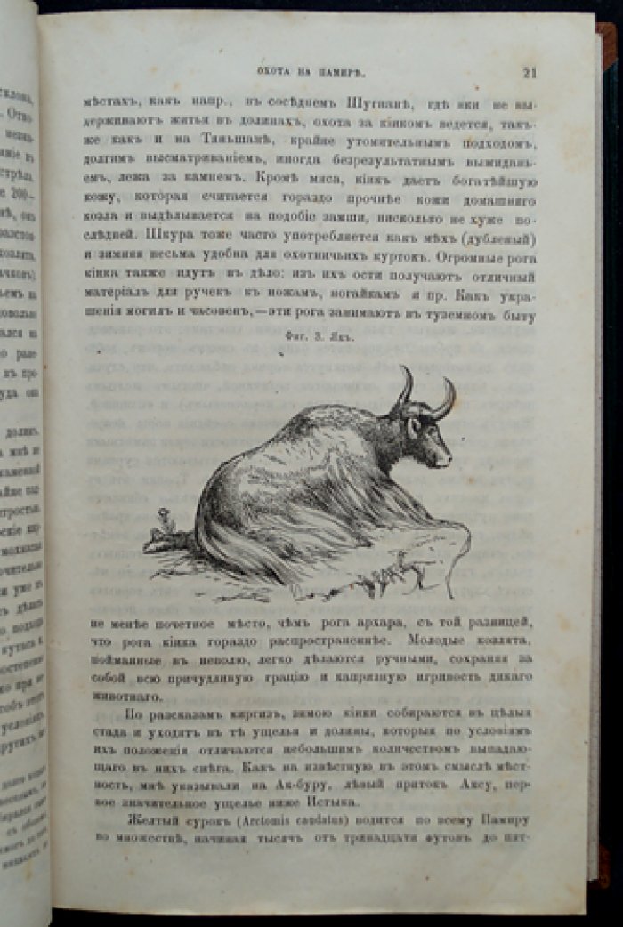 Природа и охота. Иллюстрированный журнал. Комплект №1–2 за 1885 год