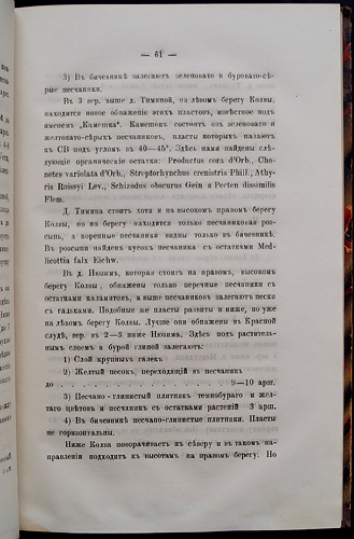 Артинский ярус: Труды общества естествоиспытателей при Императорском Казанском университете. Том XIII, выпуск 5 (Казань, 1885)