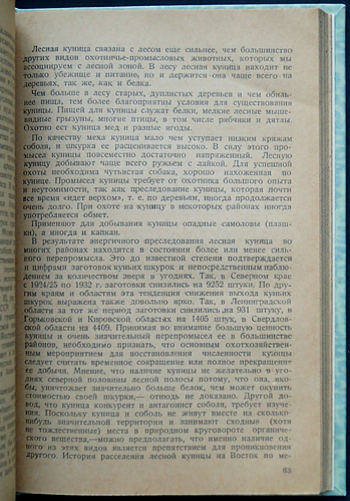 Охотничье хозяйство СССР: охотничьи промысловые звери и птицы. Пути развития охотничьего промысла