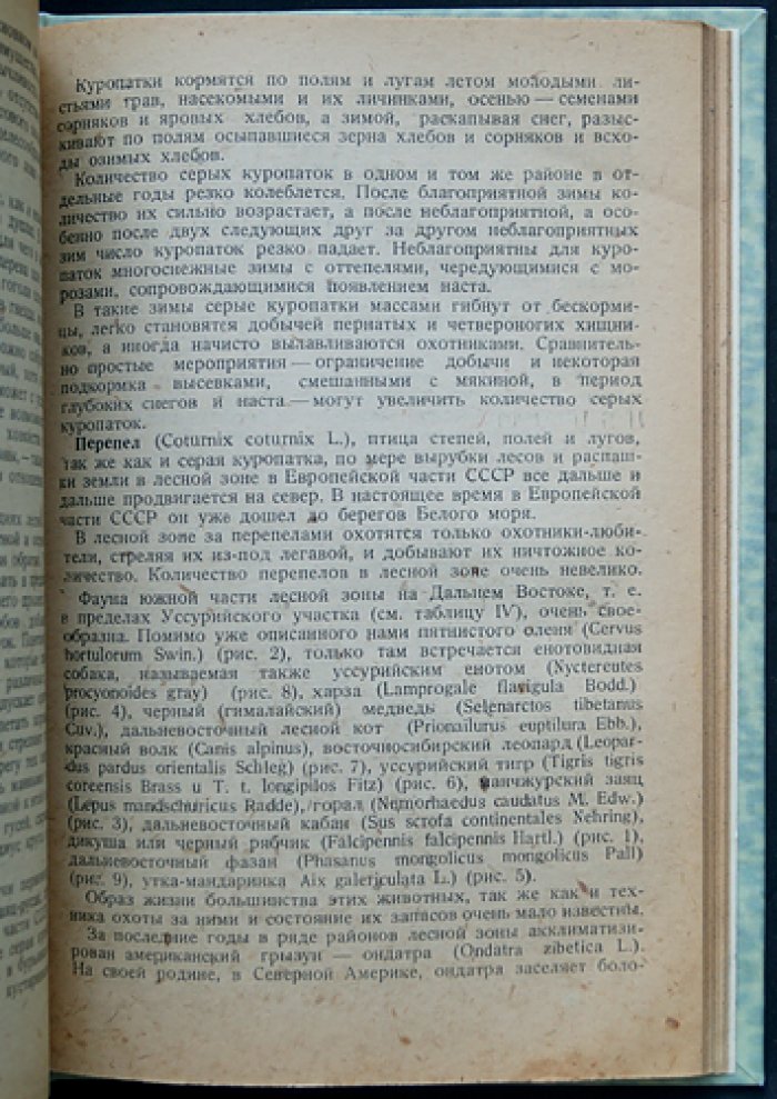 Охотничье хозяйство СССР: охотничьи промысловые звери и птицы. Пути развития охотничьего промысла