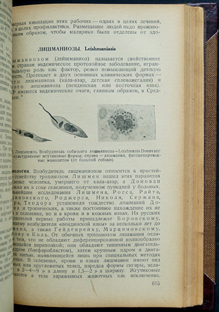 Инфекционные болезни: основы частной эпидемиологии (издание 4-е)