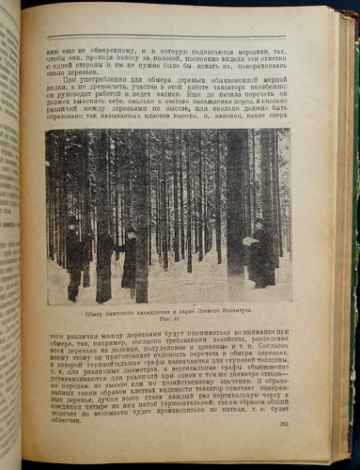 Лесная таксация: курс лекций и практических сведений по учёту леса