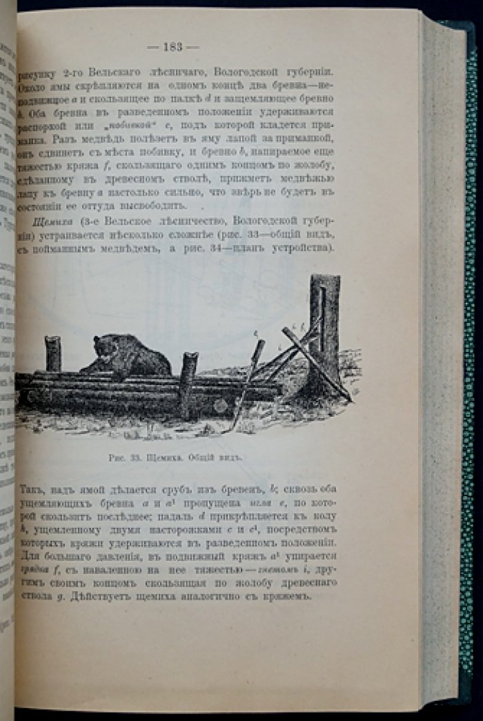 Промысловая охота в России: флора‑фаунистические области, экономическое значение и правила регулирования (1898)
