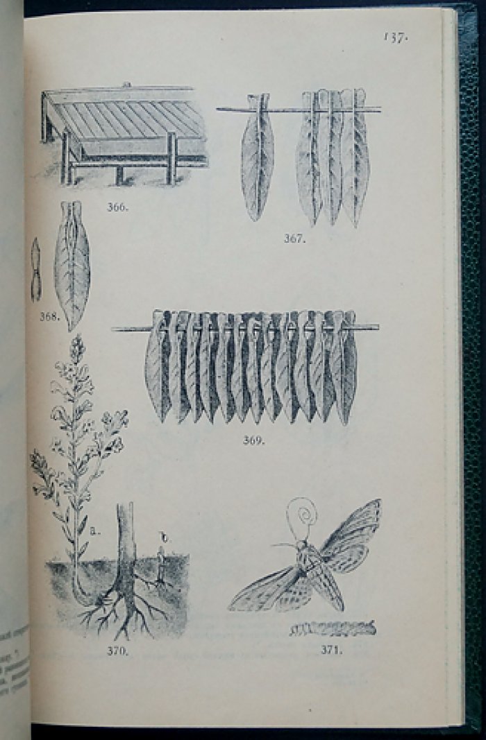 Частное земледелие (Третье издание) с рисунками. Монография Прянишникова