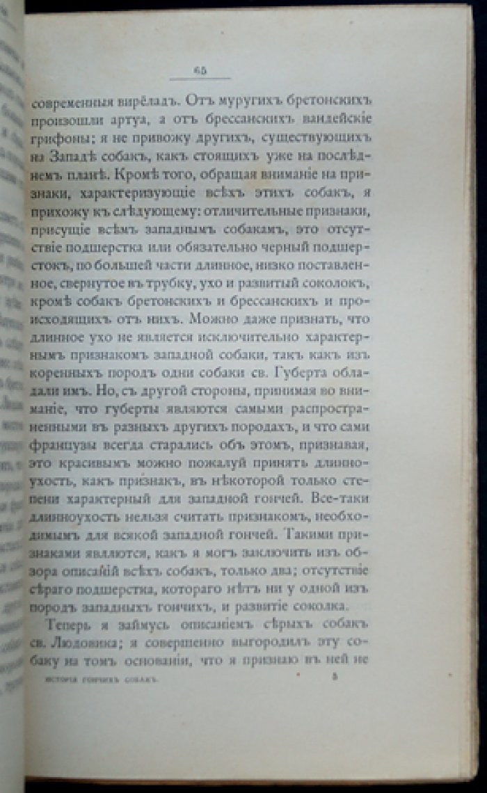 История гончих собак: влияние климата, местности и пищи на формирование охотничьей собаки
