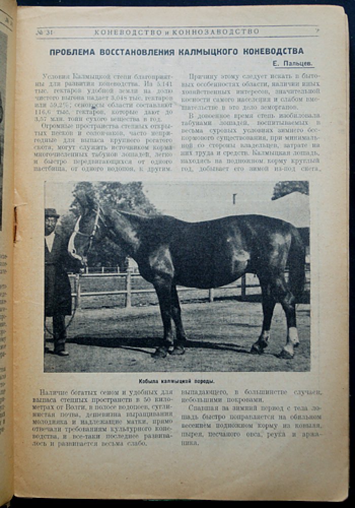 «Коневодство и Коннозаводство». Полный комплект журнала: 51 номер (№910(1)–№1029(51)), июль 1928 — июнь 1929