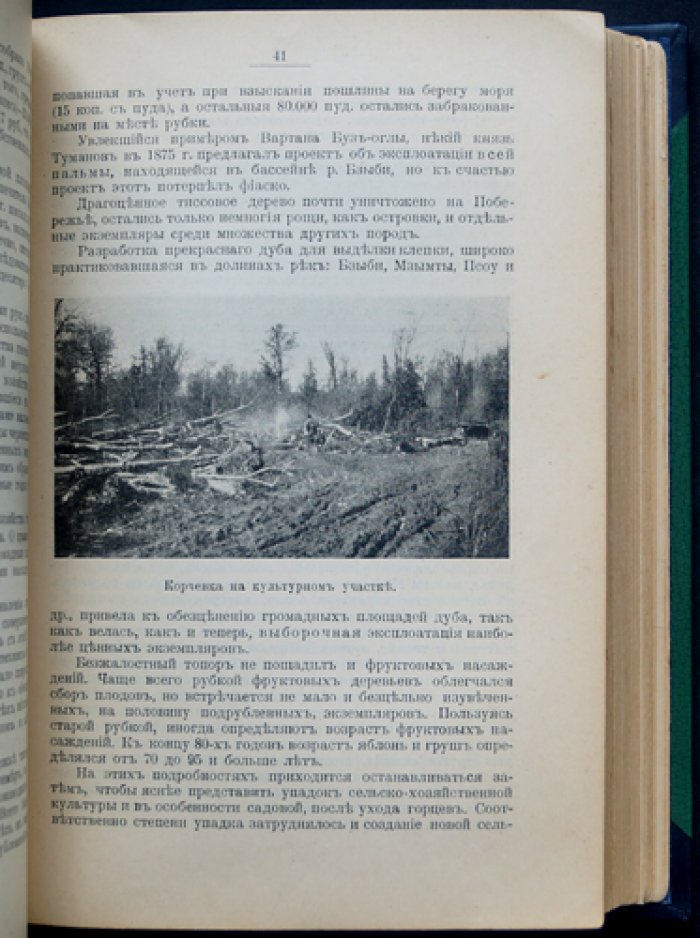 Черноморское побережье Кавказа: «Русская Ривьера». Справочная книга (1916)