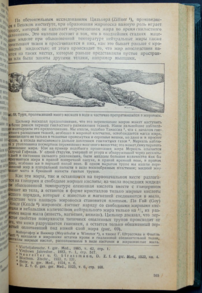 Руководство по судебной медицине: в 2 частях (перевод с 11-го немецкого издания)