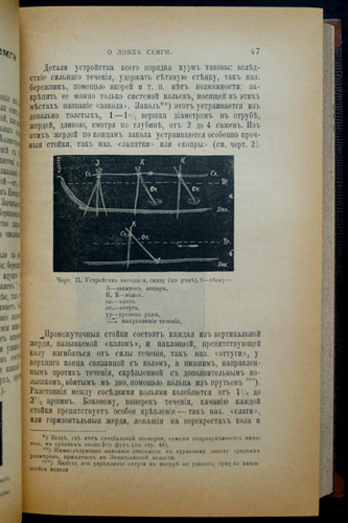 «Наша охота»: полный комплект двухнедельного журнала за 1911 год (24 выпуска)