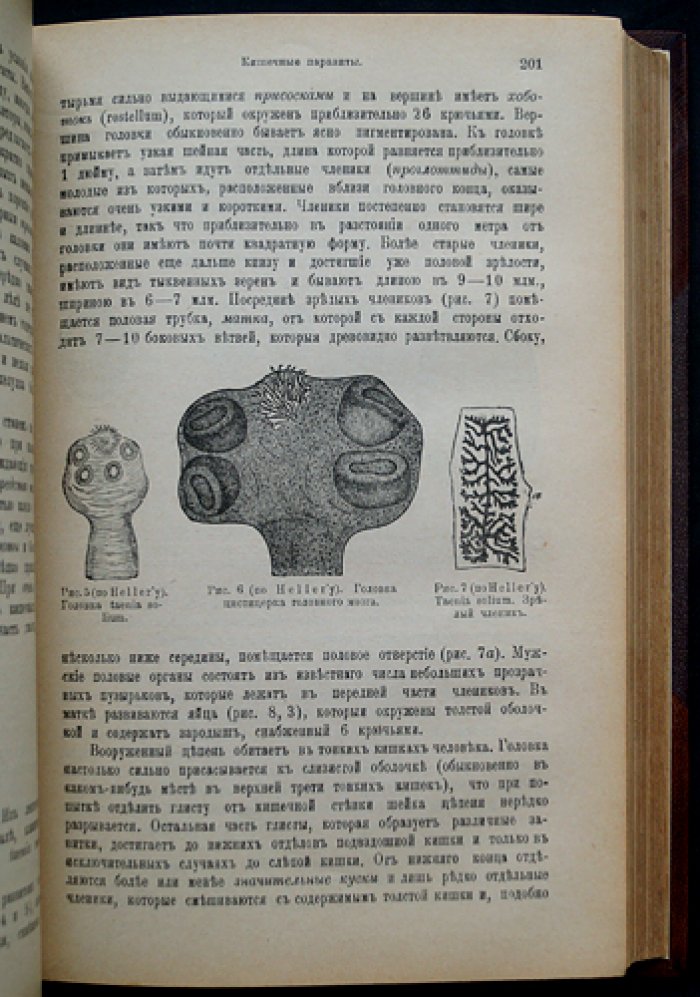 Учебник частной патологии и терапии внутренних болезней (в 3 томах) — Штрюмпель