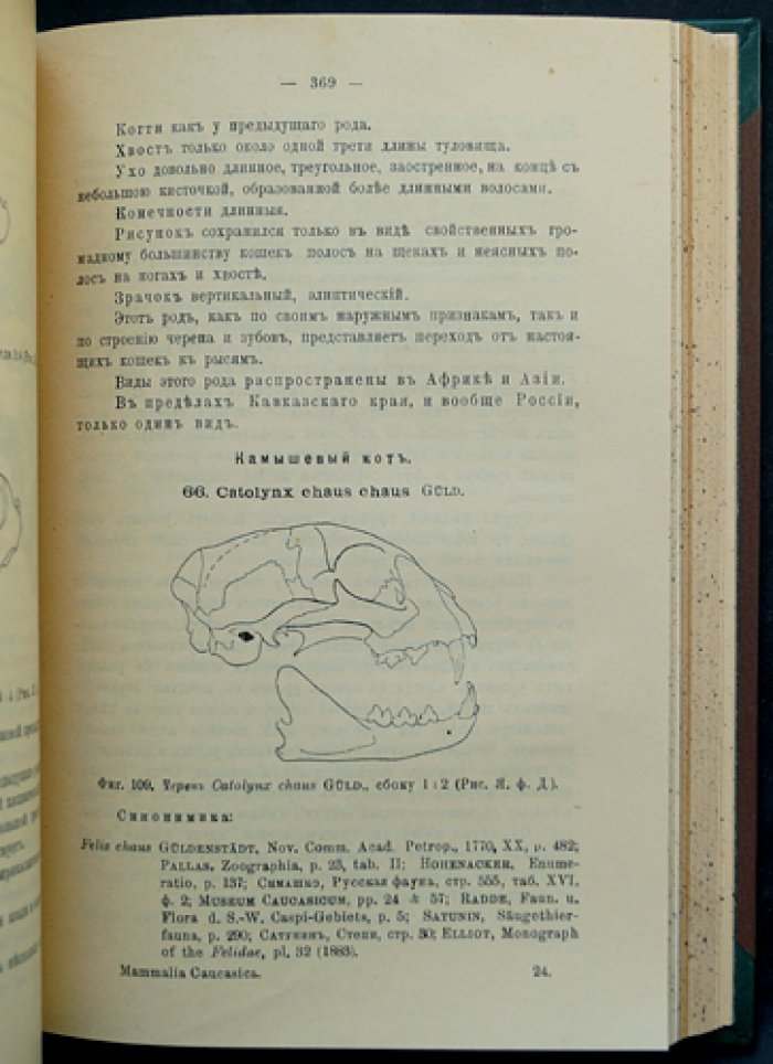 Млекопитающие Кавказского края: полный комплект в двух томах (в одном переплете)