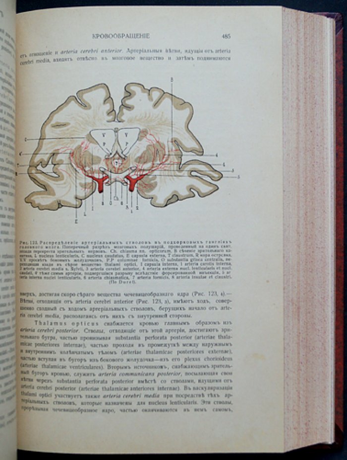 Проф. Л.О. Даркшевич. «Курс нервных болезней» (полный комплект в 3 томах, 7 выпусках, 4 переплётах). Казань, 1907–1917