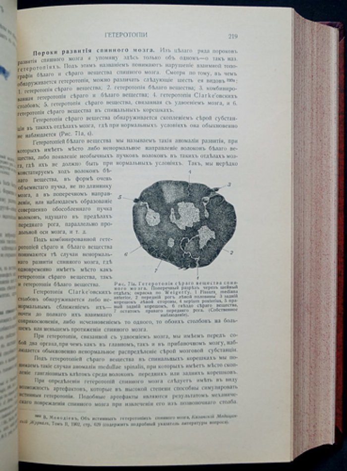 Проф. Л.О. Даркшевич. «Курс нервных болезней» (полный комплект в 3 томах, 7 выпусках, 4 переплётах). Казань, 1907–1917