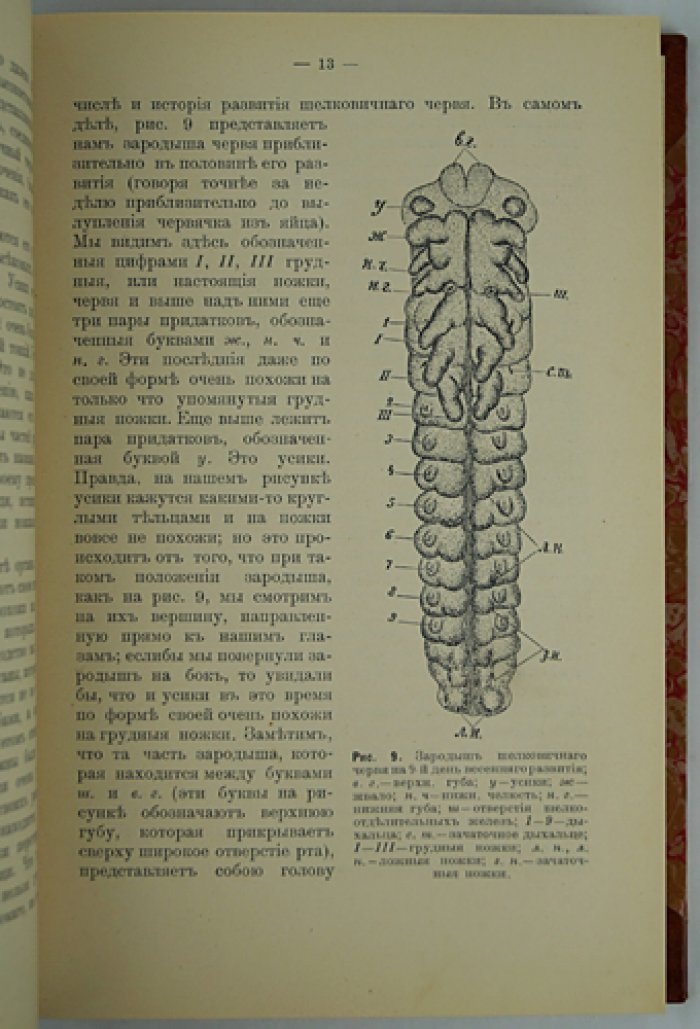 Основы практического шелководства (издание третье, дополненное)