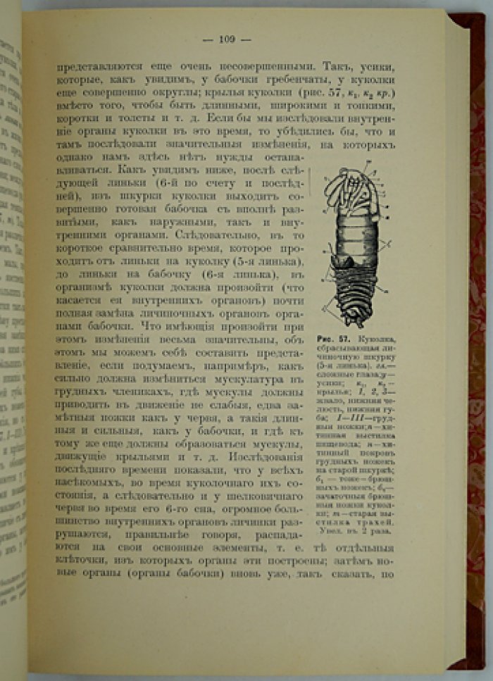 Основы практического шелководства (издание третье, дополненное)