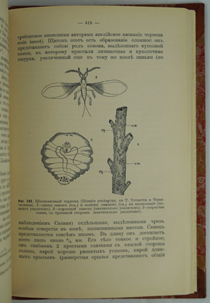 Основы практического шелководства (издание третье, дополненное)
