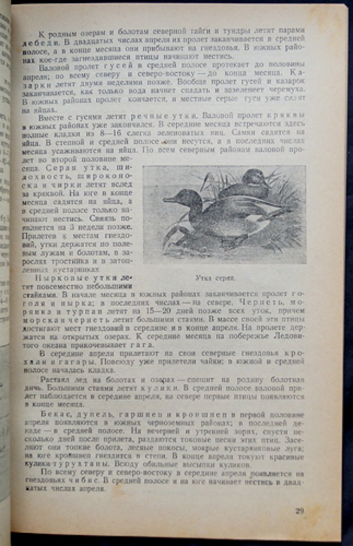 «Боец-охотник» — комплект из 11 номеров за 1938 год (8-й год издания) — с библиофильским боксом и футляром