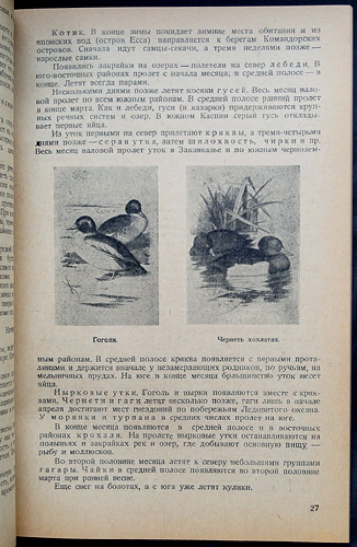 «Боец-охотник» — комплект из 11 номеров за 1938 год (8-й год издания) — с библиофильским боксом и футляром
