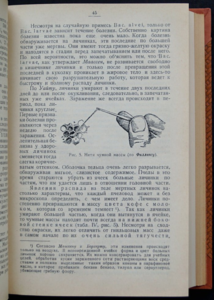 Енох Цандер. Профессор. Руководство по пчеловедению. Том I–VI (полный комплект)