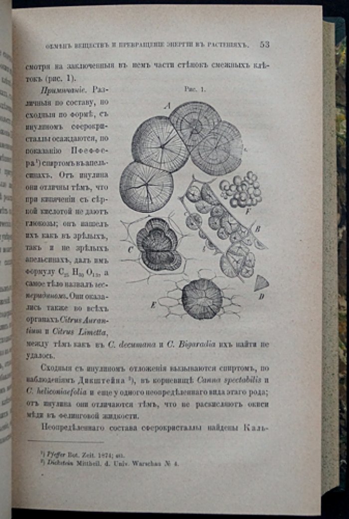 Обмен веществ и превращение энергии в растениях. Классическая монография А. С. Фаминцына (прижизненное издание 1883 г.)