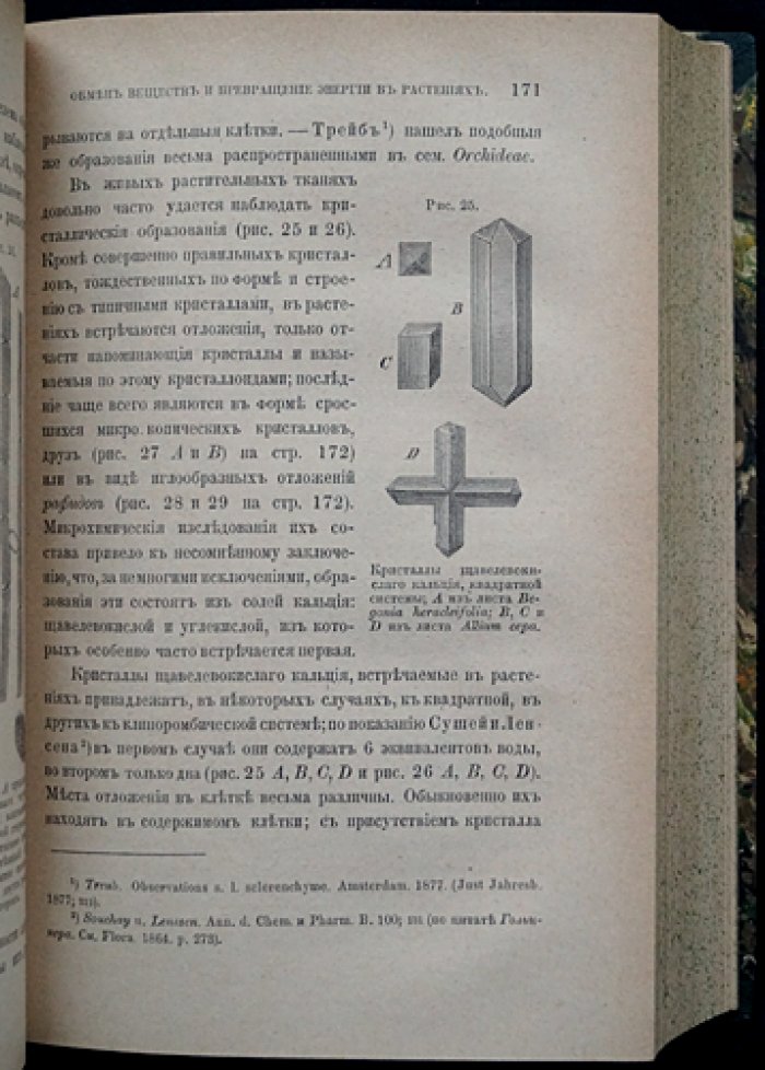 Обмен веществ и превращение энергии в растениях. Классическая монография А. С. Фаминцына (прижизненное издание 1883 г.)