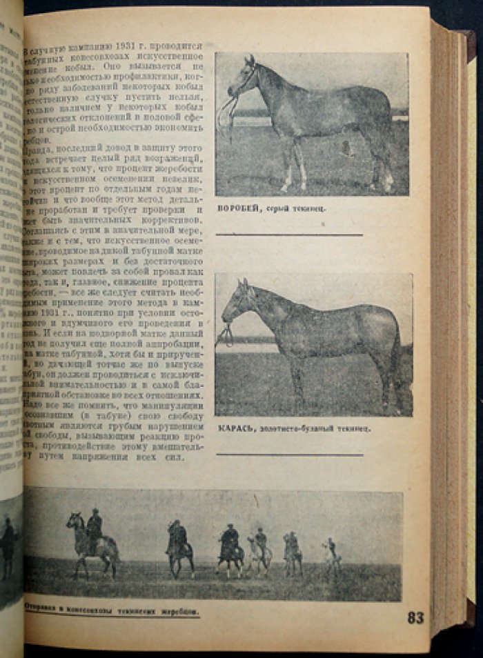 «Коневодство и Коннозаводство»: журнал Наркомзема и Коневодтреста СССР, 1931 г., №1–12 (годовой комплект)