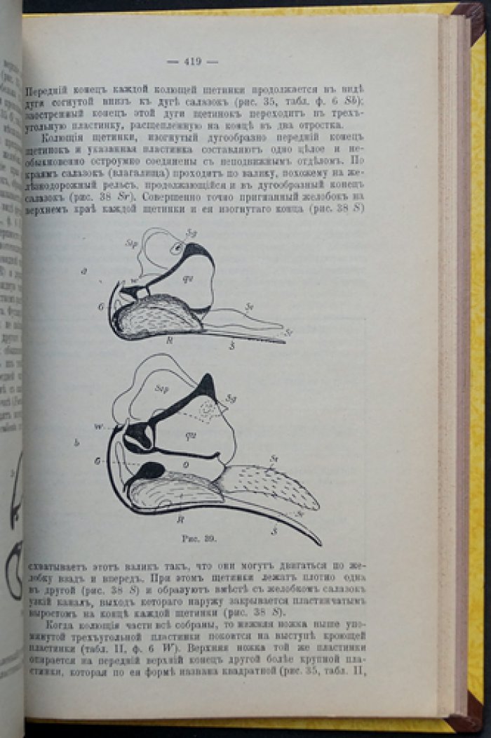 Вестник Русского общества пчеловодства. Полный комплект за 1913 год (12 номеров)